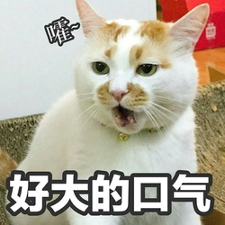 口气
