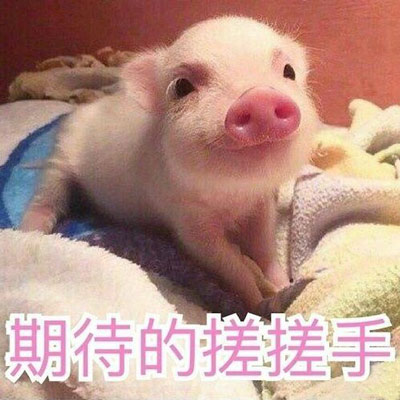 奶牛镇的小时光