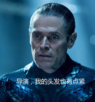 导演
