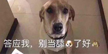 「快爆小百科」— 舔狗