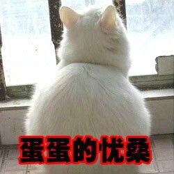 忧桑