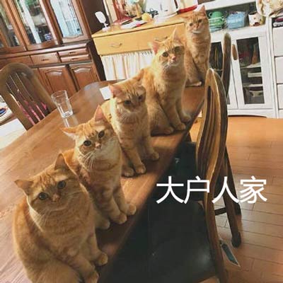 大户