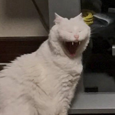 笑
