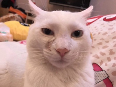 严肃