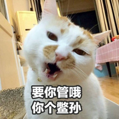 不管