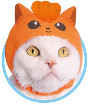 伊布