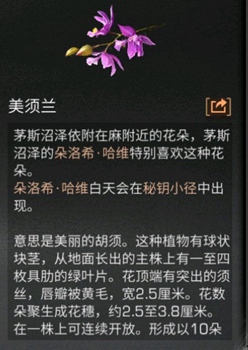 明日之后
