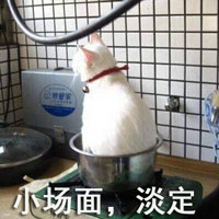 表情包