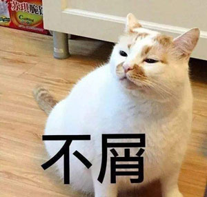 不写