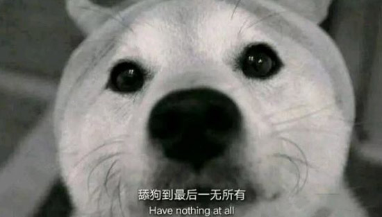 舔狗