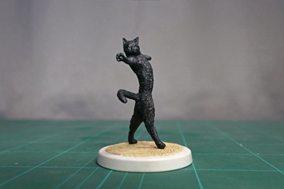 猫