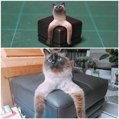 尾巴