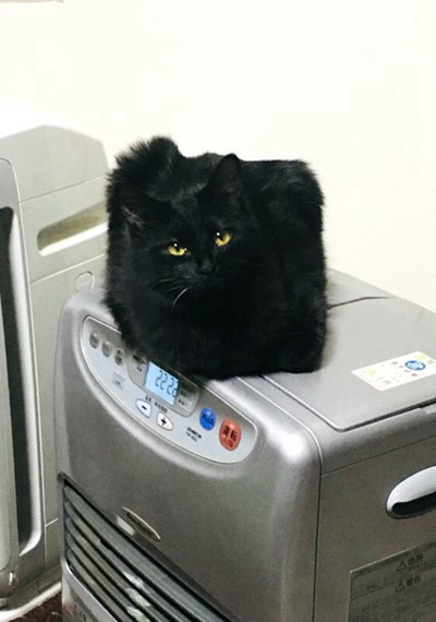 冰箱
