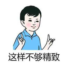 精致