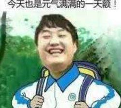 可以但没必要出处