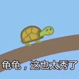 龟龟