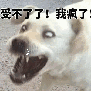 受不了