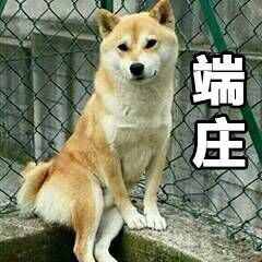 代号灵