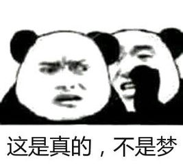 梦