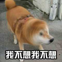不想