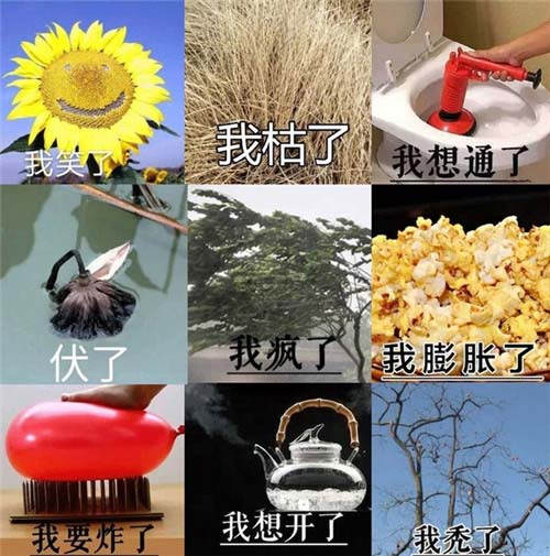 表情包