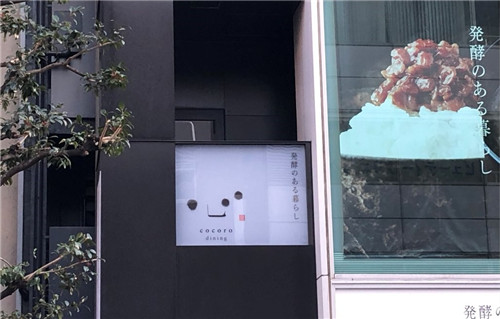 可爱的小熊