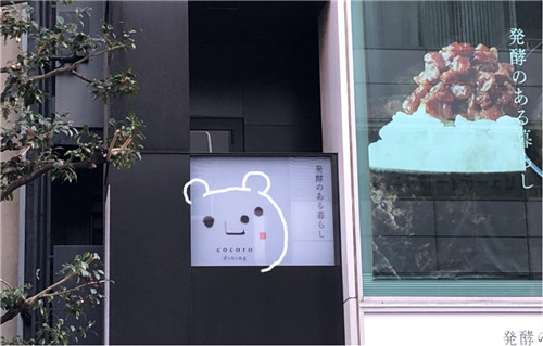 可爱的小熊