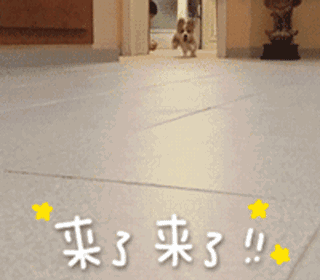 表情包