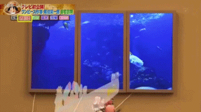 大海