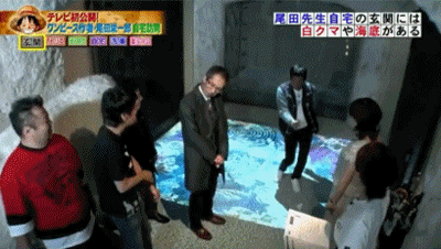 地板