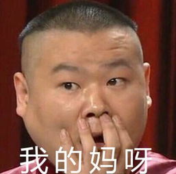 我的马呀