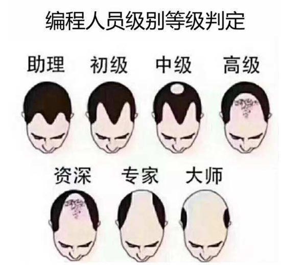 程序员秃头