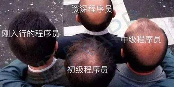 程序员在被黑的路上越走越远，结果世界毁灭了