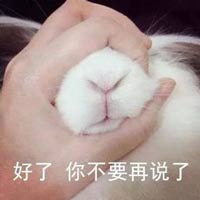 不要说