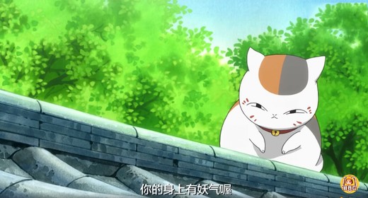 《夏目友人帐 》剧场版内地档!