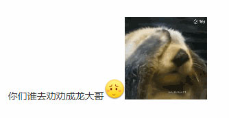 劝劝成龙大哥
