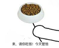 狗粮