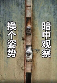 暗中