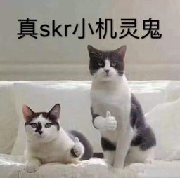 机灵鬼