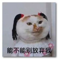 放弃