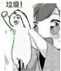 辣鸡