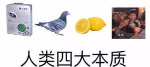 本质