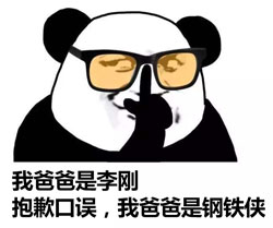 我爸爸是钢铁侠