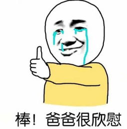 欣慰