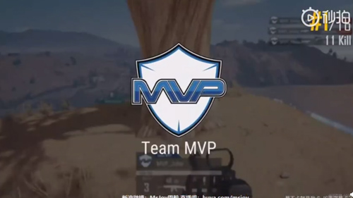 MVP战队