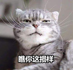 高达模型