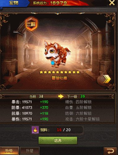 战龙酒馆