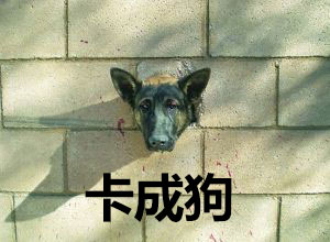 swicth安卓系统