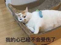 受伤