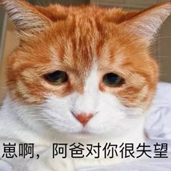 link二次元
